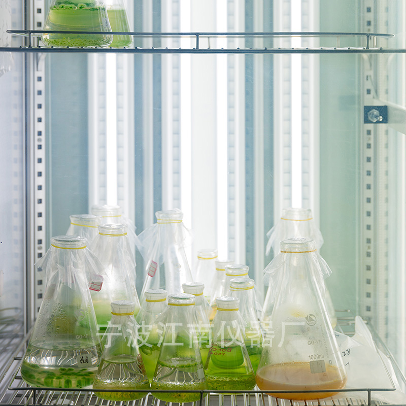 寧波江南儀器廠_人工氣候培養(yǎng)箱,光照培養(yǎng)箱,植物生長培養(yǎng)類箱體 寧波江南儀器廠_人工氣候培養(yǎng)箱,光照培養(yǎng)箱,植物生長培養(yǎng)類箱體