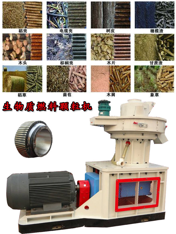 國內(nèi)外生物質(zhì)燃料顆粒機(jī)應(yīng)用現(xiàn)狀的疑問！